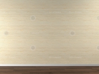 WallsFront0102