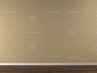WallsFront0107