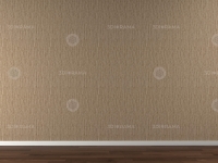 WallsFront0108